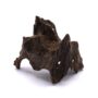 Über Adlerholz - Alles zur Anwendung von Oud - Gaharu - Agarwood