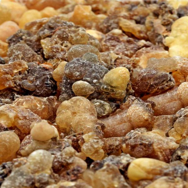 Weihrauch Oman Hojari Boswellia sacra amber