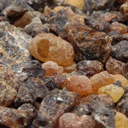 Weihrauch Somalia Boswellia neglecta.jpg