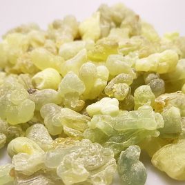 weihrauchwelt-boswellia-carteri-somalia grün